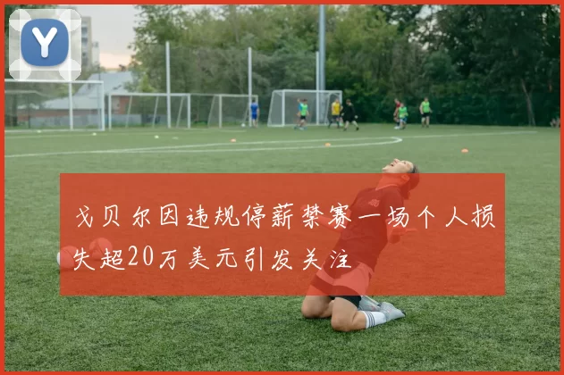 戈贝尔因违规停薪禁赛一场个人损失超20万美元引发关注